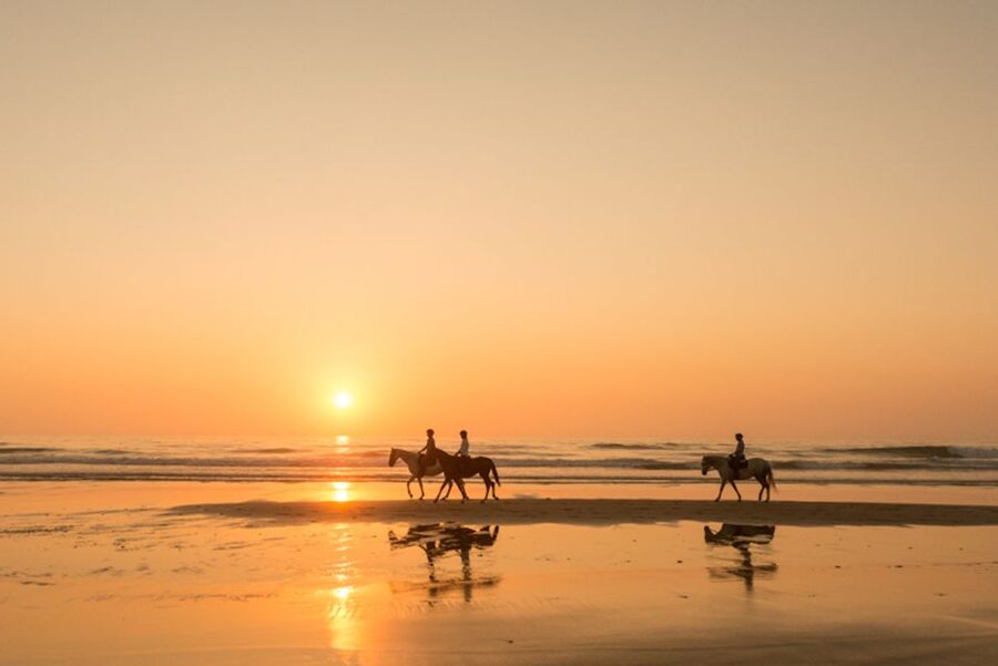 Melides: Horse Riding on the Beach with Wine Tasting - Crossing the dunes toward the beach