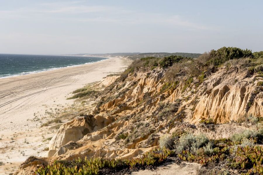 Melides: Horse Riding on the Beach with Wine Tasting - Along a beach that runs for more than 60 kilometers