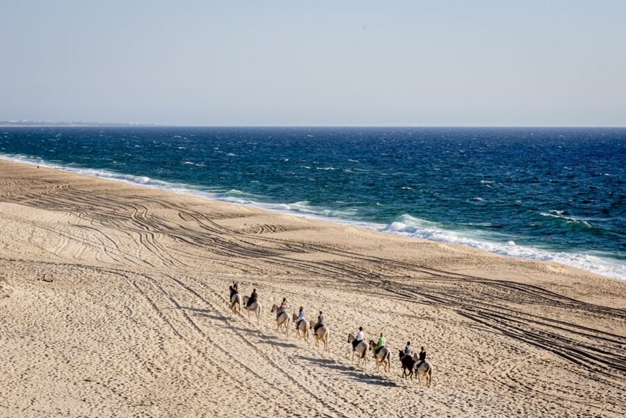 Melides: Horse Riding on the Beach with Wine Tasting - The wine option needs a careful check