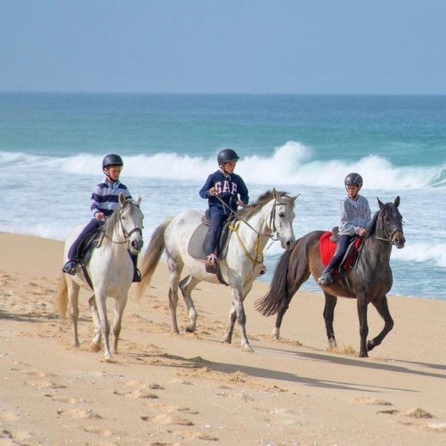 Melides: Horseback Riding on Melides Beach - Should you book the Melides Beach horseback ride?