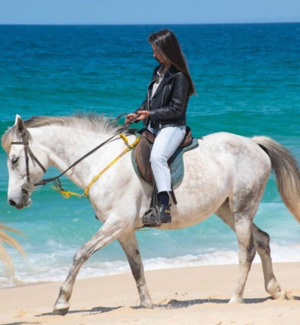 Melides: Horseback Riding on Melides Beach - What the $76 price really covers