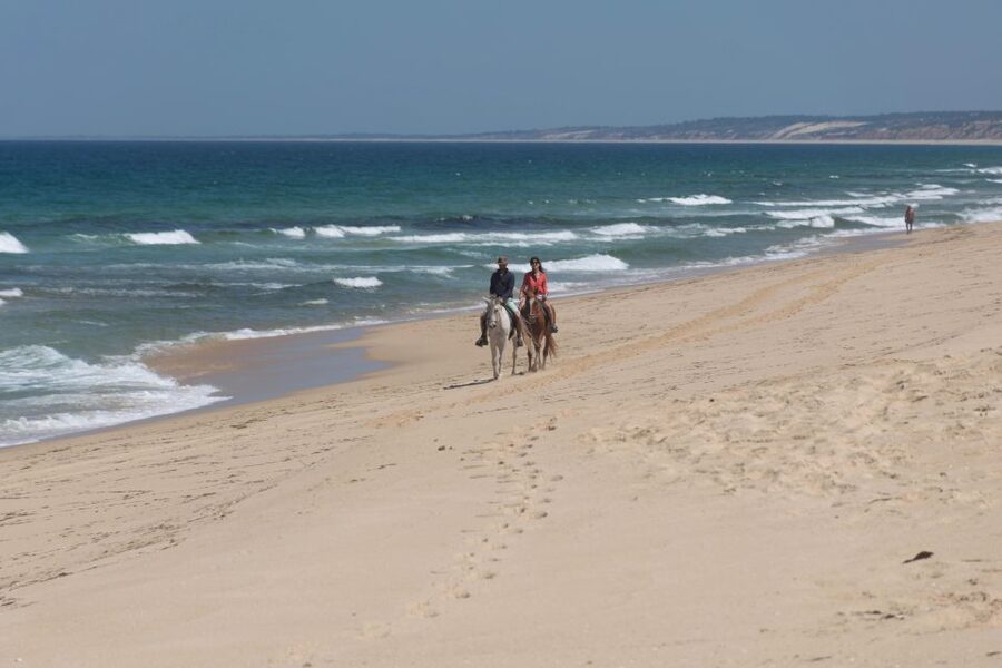 Melides: Horseback Riding on Melides Beach - Practical booking details that matter