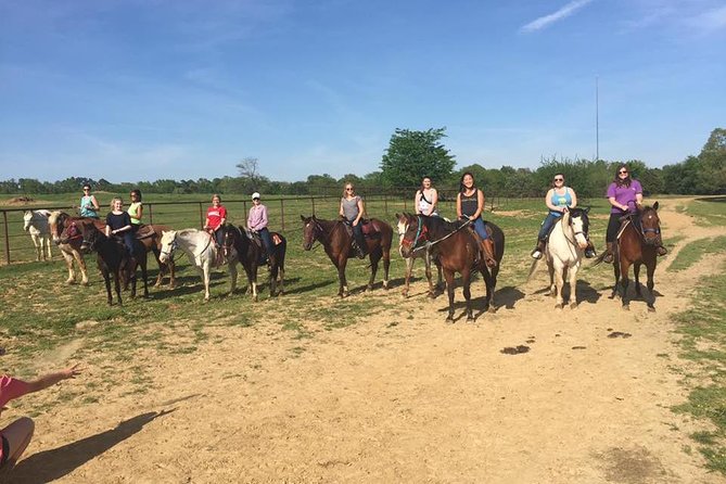 Memphis Horseback Trail Ride Tour - A city ride with a country feel