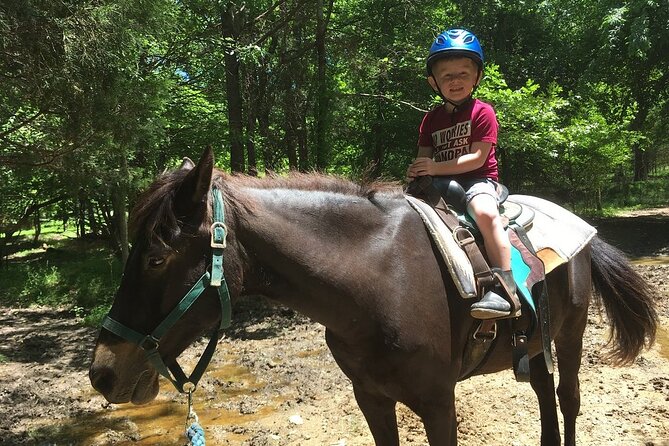 Memphis Horseback Trail Ride Tour - One hour on the wooded trails