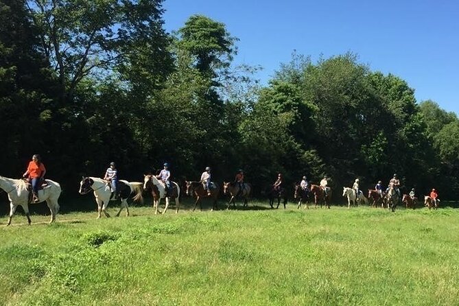 Memphis Horseback Trail Ride Tour - Saddle comfort and helmet condition