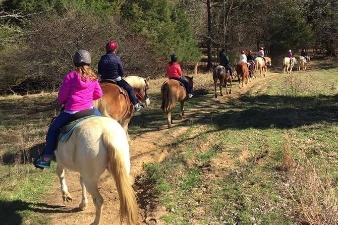 Memphis Horseback Trail Ride Tour - Which departure time makes sense?