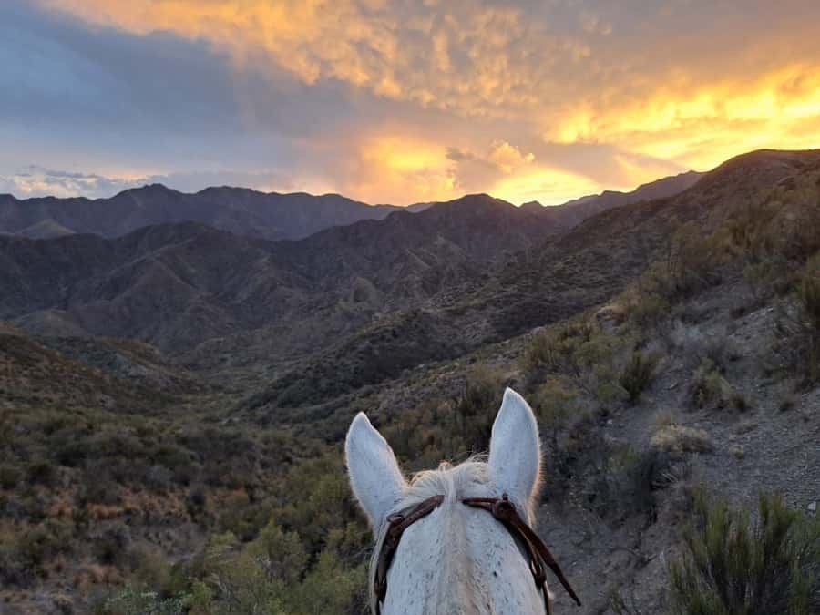 Mendoza: Sunset Horse Back Riding in the Mountains and BBQ - Choosing your horse with Stella and the ranch team