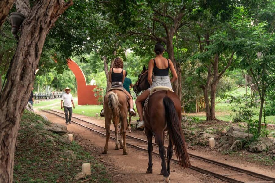 Mérida: Jungle & Cenotes Tour with Horseriding & Lunch - A Three-Hour Taste of Rural Yucatan
