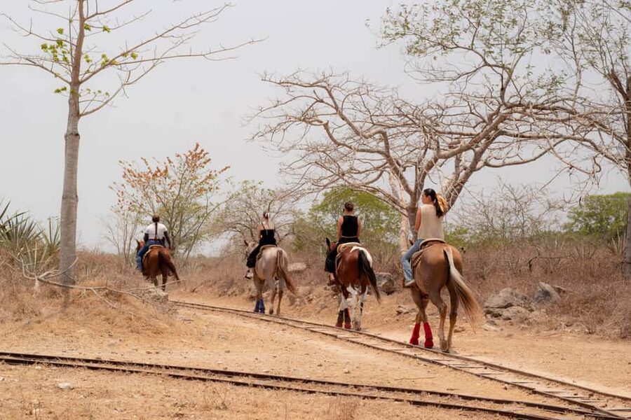 Mérida: Jungle & Cenotes Tour with Horseriding & Lunch - A Four-Course Meal at Restaurante KIH
