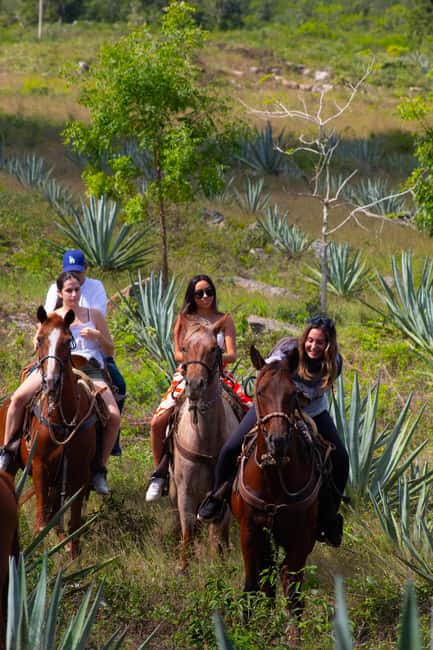 Mérida: Jungle & Cenotes Tour with Horseriding & Lunch - Riding Through Henequen Fields and Jungle Trails