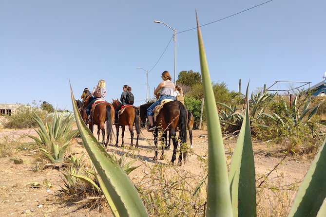 Mexican Equestrian Experience - Why horseback is a smart way to see Guanajuato