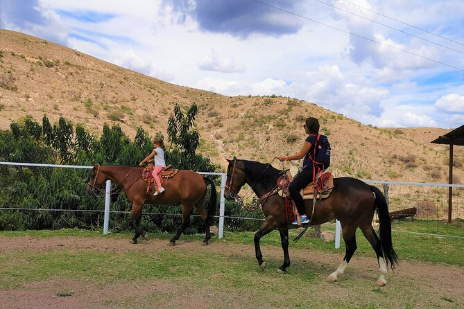 Mexican Equestrian Experience - Meeting the horses with Cruz