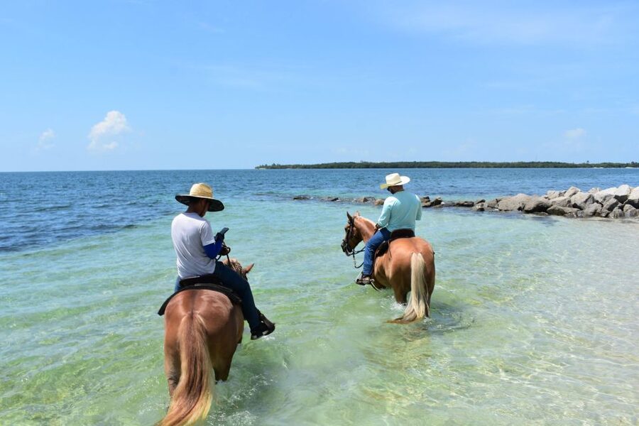Miami: Beach Horse Ride & Nature Trail - What the one-hour route is really like