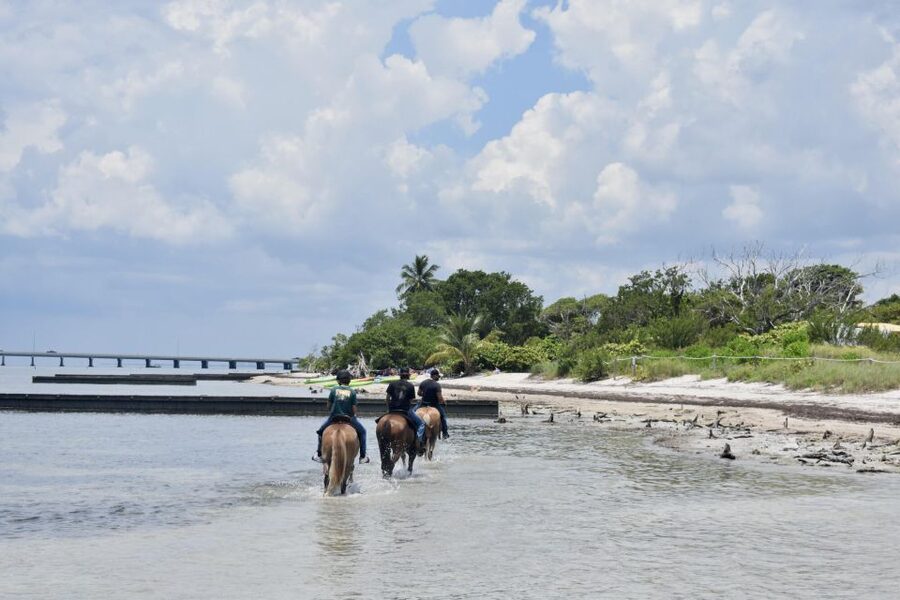 Miami: Beach Horse Ride & Nature Trail - How the guides shape the experience