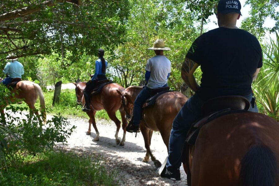 Miami: Beach Horse Ride & Nature Trail - Who will enjoy this most