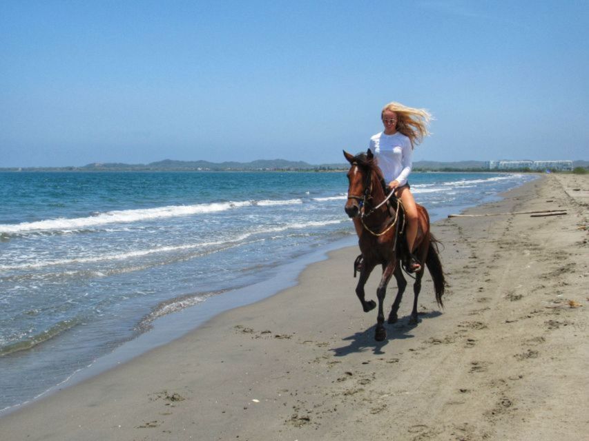 Miami: Beach Horse Ride & Nature Trail - Should you book the Virginia Key horse ride?
