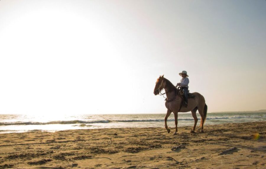 Miami: Beach Horse Ride & Nature Trail - The beach section is the memorable finish