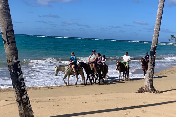 Miches Beach Horseback Riding - Who will enjoy this ride most