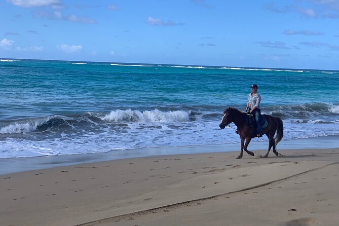 Miches Beach Horseback Riding - Booking details worth checking first
