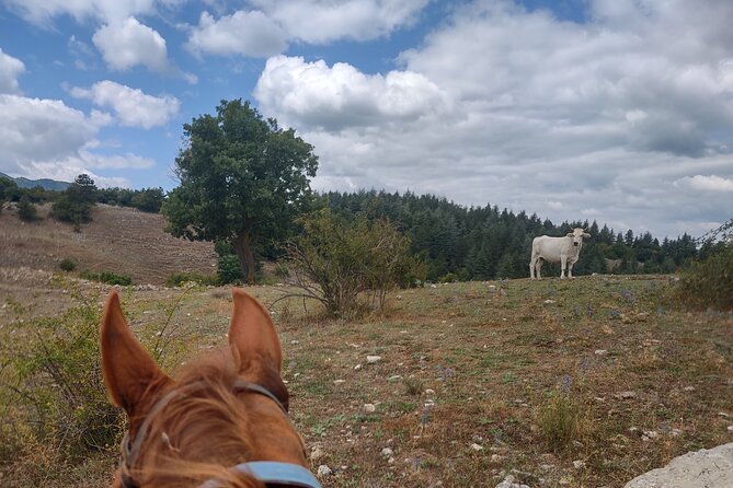 Middle day out of Rome on Horseback with meals included - Sleeping in the mini house