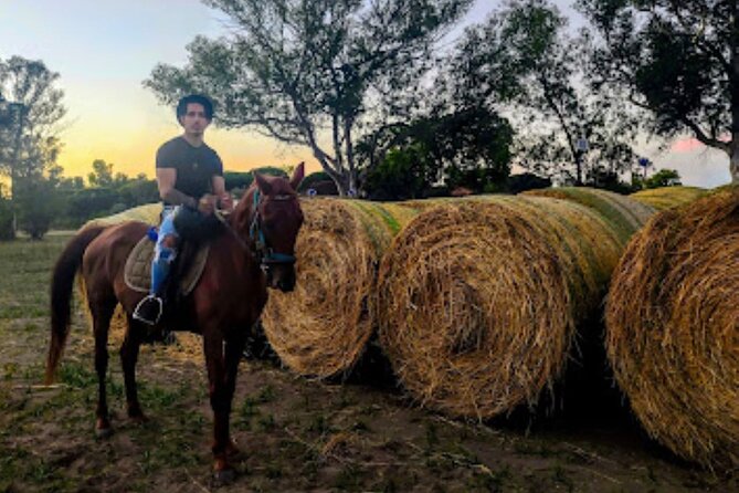 Middle day out of Rome on Horseback with meals included - Is the $14 price good value?