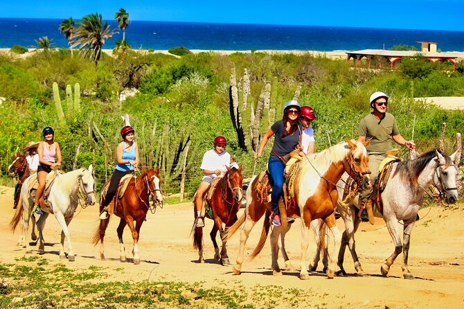 Migriño Beach Horseback Riding Experience - Into the desert for the best viewpoints