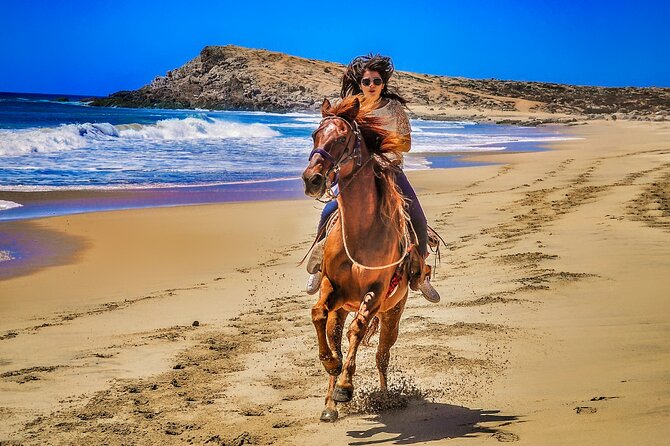 Migriño Beach Horseback Riding Experience - Pickup, communication, and cancellation