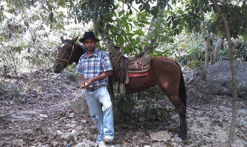 Mismaloya Jalisco: Rancho Manolo Horseback Tour - What the jungle section adds to the ride