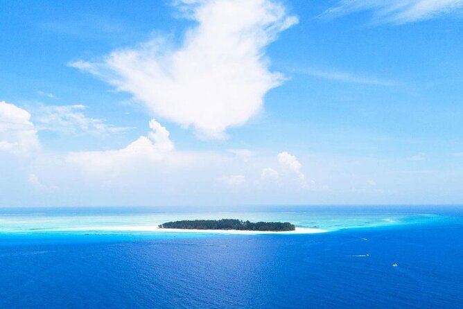 Mnemba Dolphin Tour, Clear Kayak, Cooking Class, Horse Riding - A sea-first start near Mnemba Island