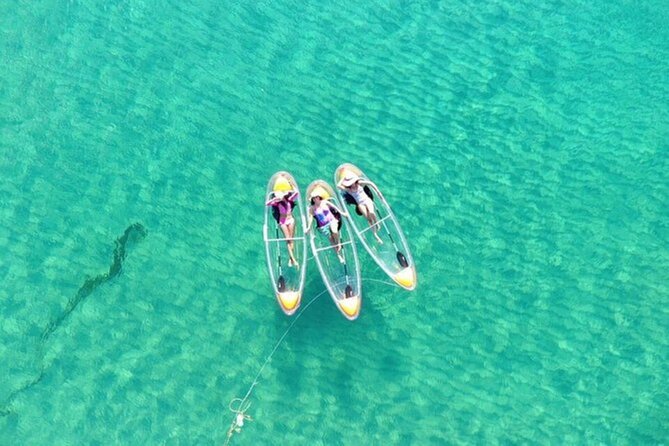Mnemba Dolphin Tour, Clear Kayak, Cooking Class, Horse Riding - Is $220 per person fair?