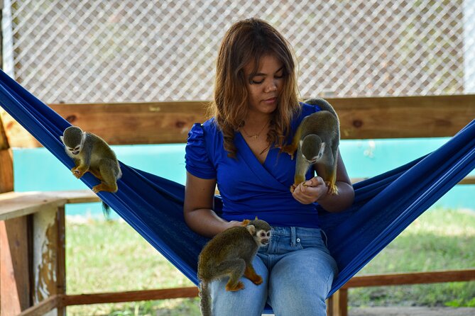 Monkey Encounter and Horse-Riding Tour in Puerto Plata - Macaws, Cockatoos, Flamingos, and African Greys
