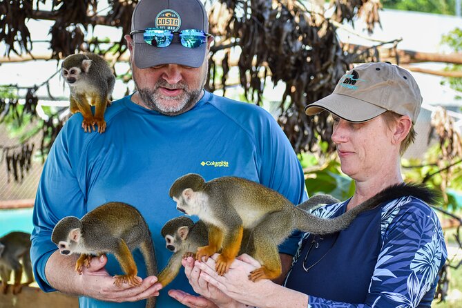 Monkey Encounter and Horse-Riding Tour in Puerto Plata - A Home-Cooked Dominican Lunch
