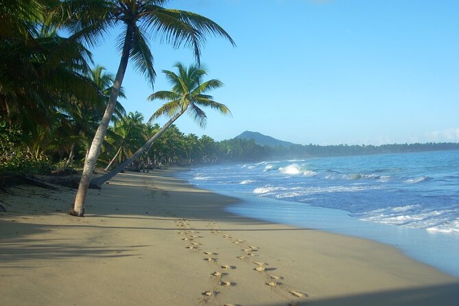 Montaña Redonda & Horseback Riding 2-in-1 Tour from Punta Cana - A slower change of pace at Playa Limón