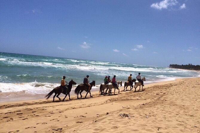Montaña Redonda & Horseback Riding 2-in-1 Tour from Punta Cana - What private transportation changes