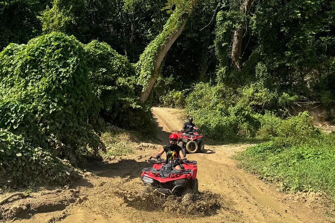 Montego Bay Adventure Day: ATV, Zip-lining & Horseback Riding Fun - Ziplining above the Jamaican trees