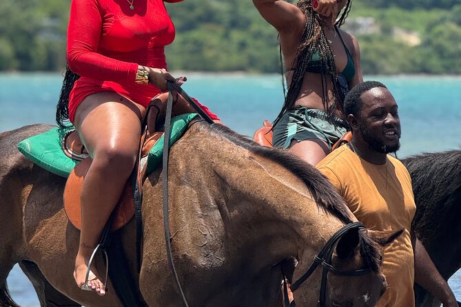 Montego Bay Beach Horseback Riding Tour - Meeting the horses at Noble House