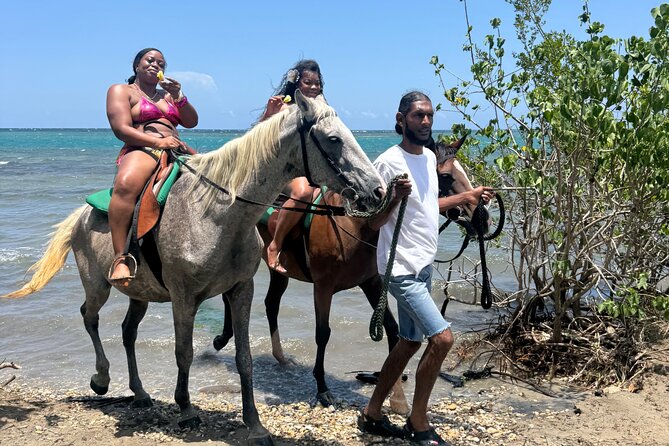 Montego Bay Beach Horseback Riding Tour - Who should book this ride?