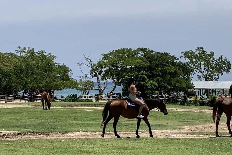 Montego Bay: Day Trip with Zipline, ATV, and Horseback Ride - The horseback ride is the star attraction