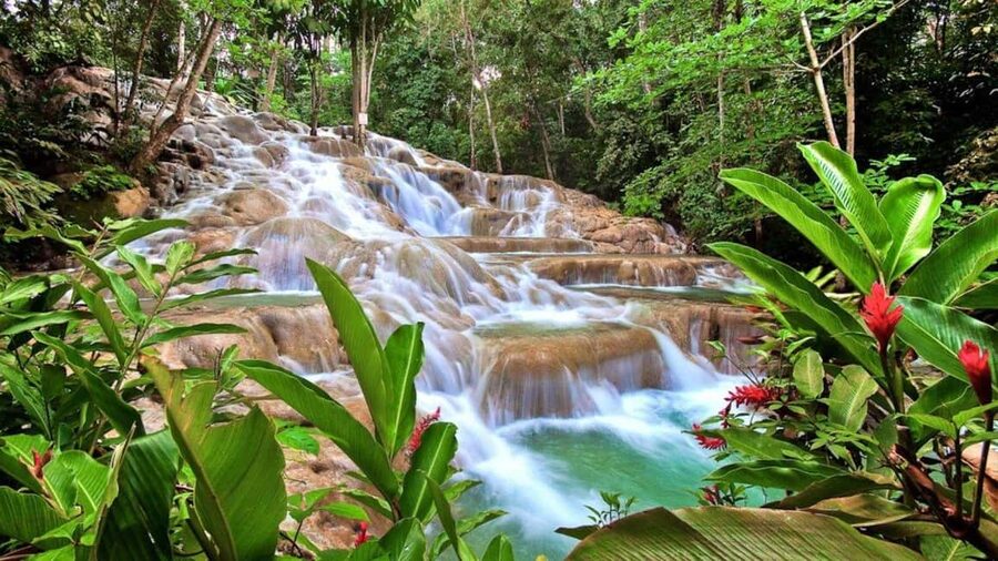 Montego Bay: Dunn's River Falls & Horseback Riding Adventure - Key points to know before booking