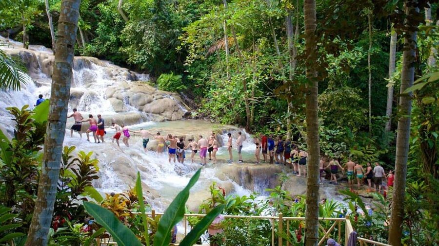 Montego Bay: Dunn's River Falls & Horseback Riding Adventure - Two Jamaican adventures in one six-hour outing