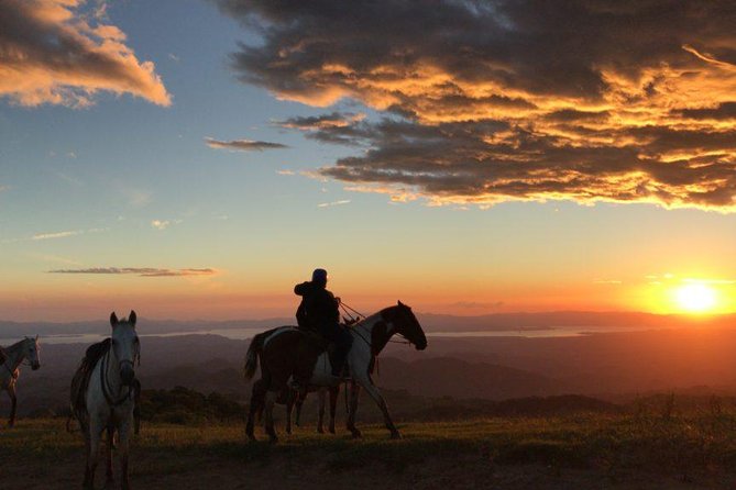 Monteverde Cloud Forest Horseback Riding - Key points before you saddle up