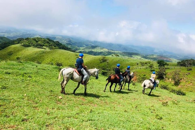 Monteverde Cloud Forest Horseback Riding - A quiet way to see Monteverde beyond the trails