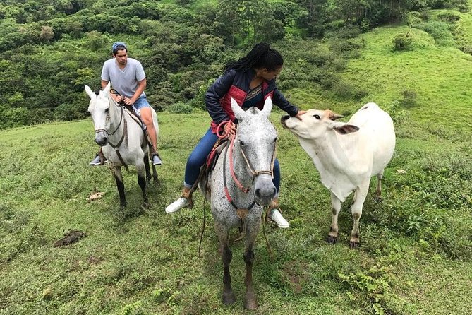 Monteverde Cloud Forest Horseback Riding - The farm food is part of the experience