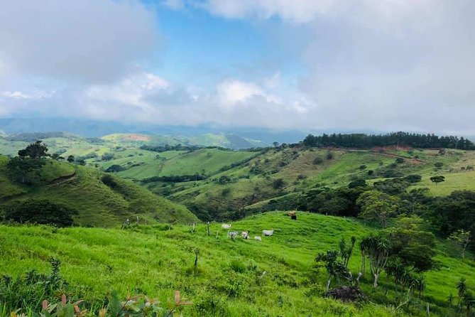 Monteverde Cloud Forest Horseback Riding - Choosing 8:00 am, 11:00 am, or 3:00 pm