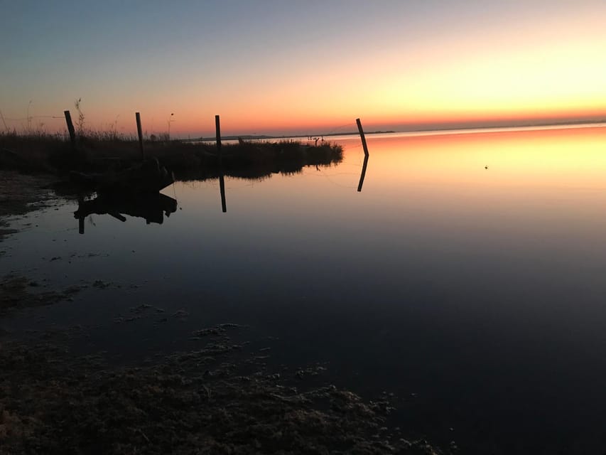 Montpellier : Birdwatching by kayak in the Camargue - Should you book the Camargue kayak tour?