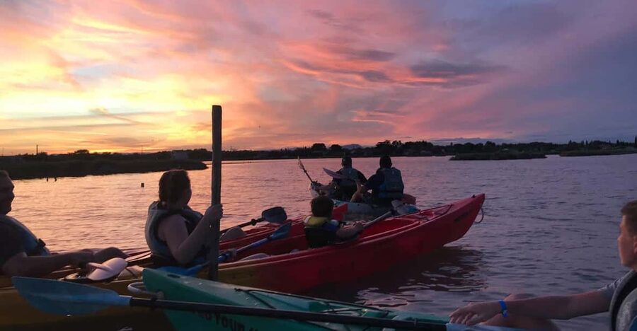 Montpellier : Birdwatching by kayak in the Camargue - Launching in an open and shallow lagoon