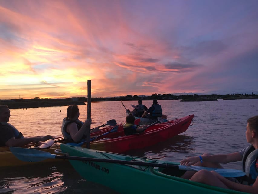 Montpellier : Birdwatching by kayak in the Camargue - Why the no-noise rule matters