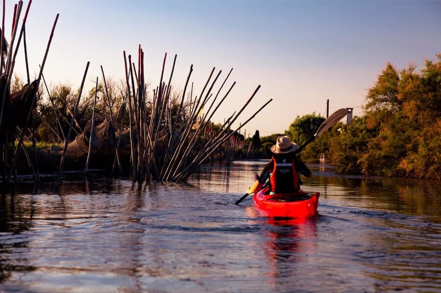 Montpellier : Birdwatching by kayak in the Camargue - What the two-hour route feels like