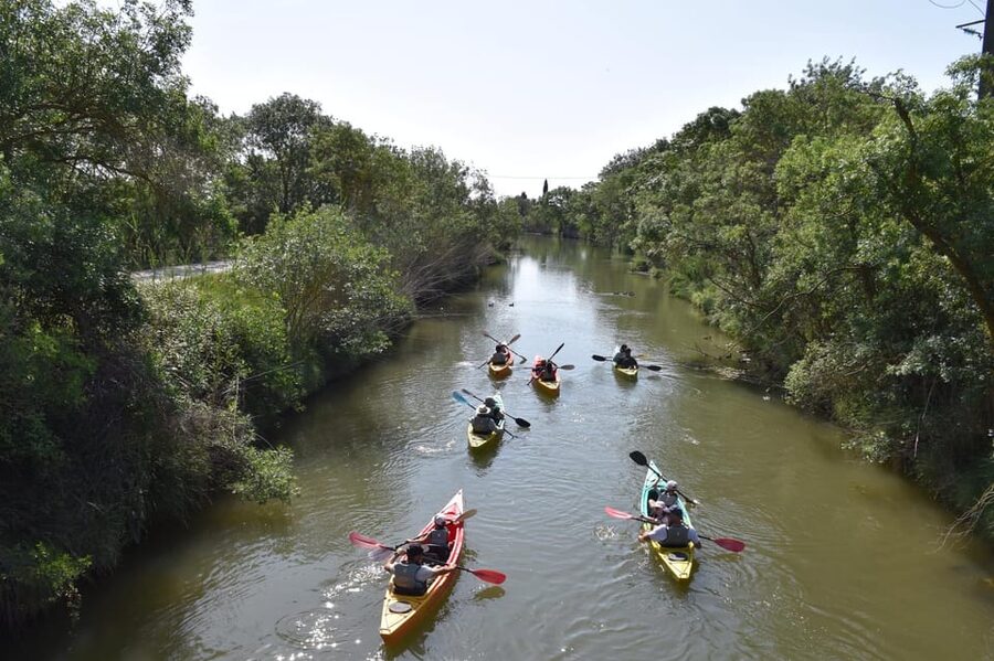 Montpellier : Birdwatching by kayak in the Camargue - What you are paying for at $76