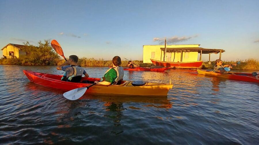 Montpellier : Birdwatching by kayak in the Camargue - Who will enjoy this most